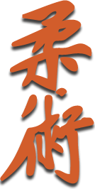 Imagem de um Kanji, escrita japonesa, que significa Jiu Jitsu, na cor laranja com um sombreado preto.