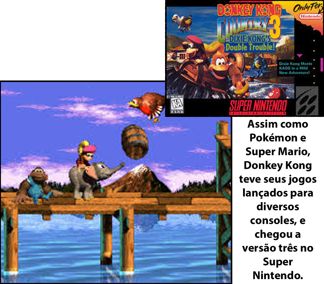 jogo Donkey Kong Country 3