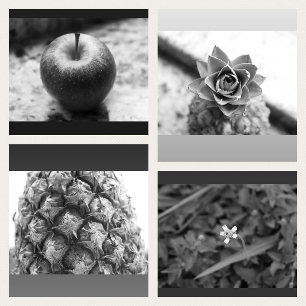 foto em preto e branco de uma maçã, um abacaxi e uma pequena flor